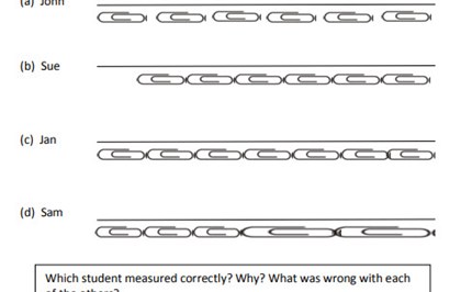 Which is the longest? Image