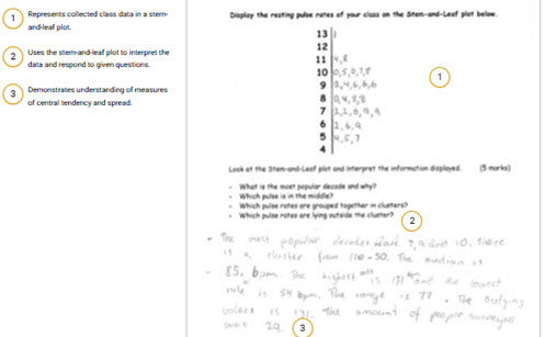 WS02 - Statistical investigation Image