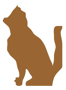 Image of a cat
