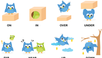 Position and location: Foundation: Planning tool