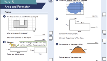 Assessment: Year 5 – Area and perimeter  Image