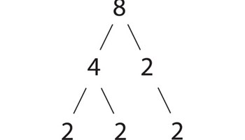 Factors, multiples, primes: Year 7 – planning tool Image