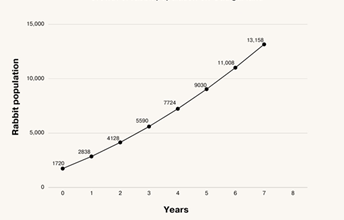 Line graph showing rabbit population growth over time on Gadigal land