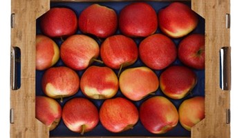 Multiplication as a binary operation Image