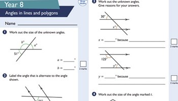 Assessment: Angles in lines and polygons Image