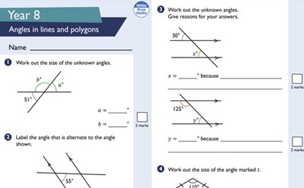 Assessment: angles in lines and polygons Image