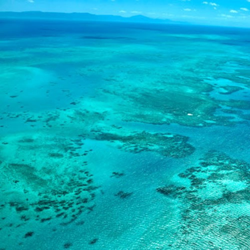 The Great Barrier Reef Queensland Cairns Ank Kumar 03