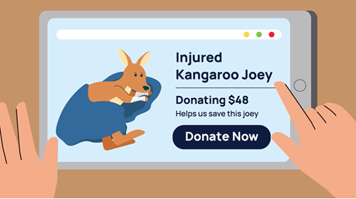 A picture of an injured kangaroo, shown on a computer tablet as part of a fundraising request.