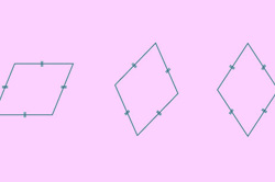 Rhombuses, kites and trapezia Image