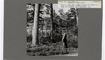 reSolve: Tree Biomass Image