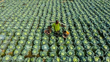 Patterns and number facts: Year 5 – planning tool Image