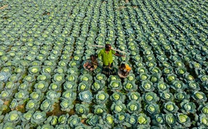 Patterns and number facts: Year 5 – planning tool Image