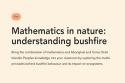 Mathematics in nature: understanding bushfire Image