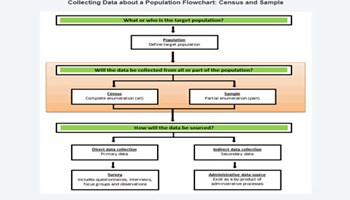 Statistical language: census and sample Image