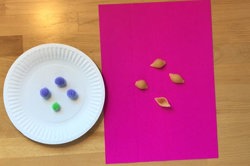 Subitising – match my collection Image