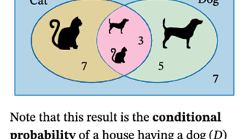 Lesson plan: conditional probabilities Image