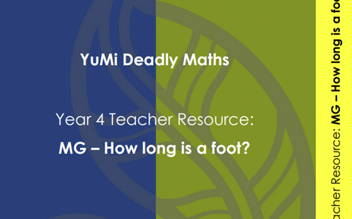 How long is a foot?  Image