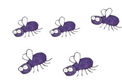 Number sense: Foundation – planning tool Image