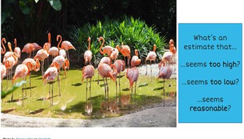 Estimation and reasonableness: Year 3 – planning tool Image