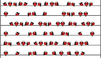 reSolve: Skip Counting: How Many Birds? Image