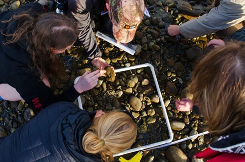 Environmental Science At Whenua Iti Outdoors 1