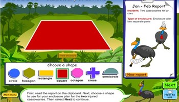 Cassowary fractions Image