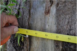 reSolve: Circumference Image