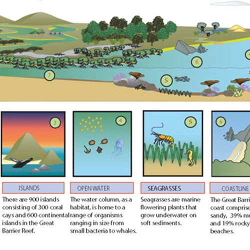 Conceptual Diagram Of Marine Coastal Ecosystems