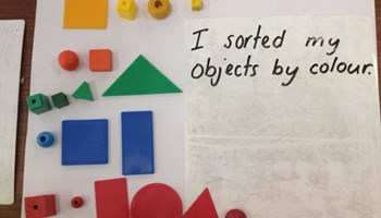 WS02 - Sorting shapes and objects Image