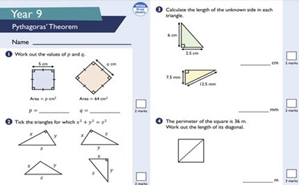 Assessment: Pythagorean Theorem Image