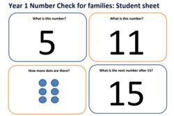 Year 1 Number Check for families Image