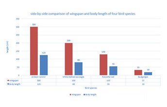 Osprey bird dimensions Image