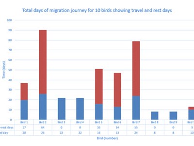Osprey migration data Image