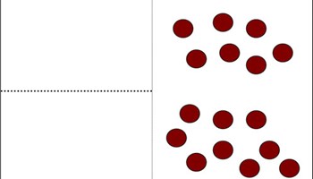 Summative assessment: Knowing numbers Image