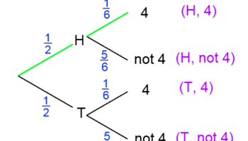 An introduction to tree diagrams Image