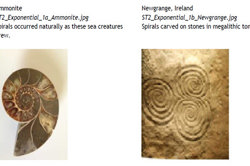 reSolve: Real-world algebra – exponential functions Image