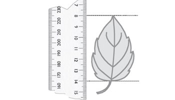 Desk through the doorway  Image