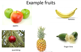 Example of fruits: apples, banana, quandong, pineapple and finger lime