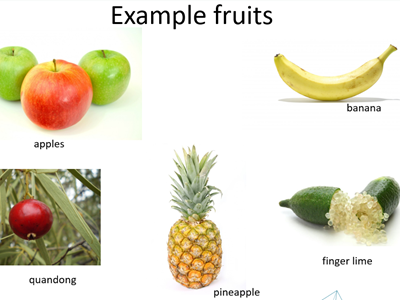 Example of fruits: apples, banana, quandong, pineapple and finger lime