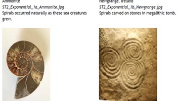 reSolve: Real-World Algebra: Exponential Functions Image