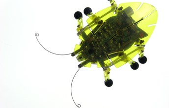 Pythagoras: Cartesian coordinate plane Image