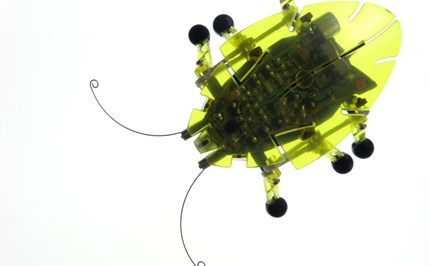 Pythagoras: Cartesian coordinate plane Image