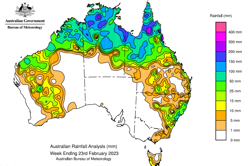 Conduct statistical investigations: Year 9 – planning tool Image