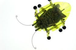 Pythagoras: Cartesian coordinate plane Image