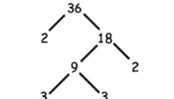 Factor trees Image