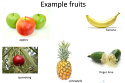 Fruit fractions: Fruit karate Image