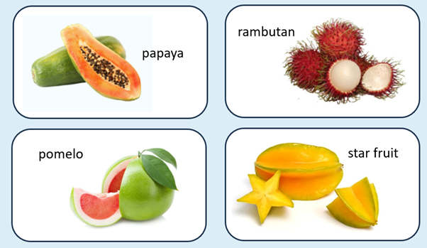 Fruit fractions: Gardeners of fractions Image
