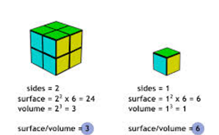 Unit cubes and volume Image