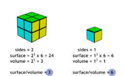 Unit Cubes And Volume Unit Cubes And Volume