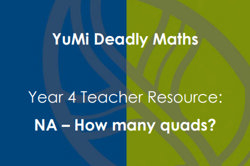 How many quads? Image